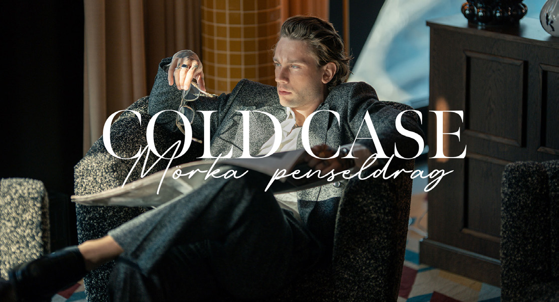 FSB Aktiviteter konferens cold case